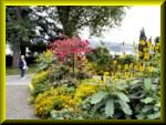 Insel Mainau